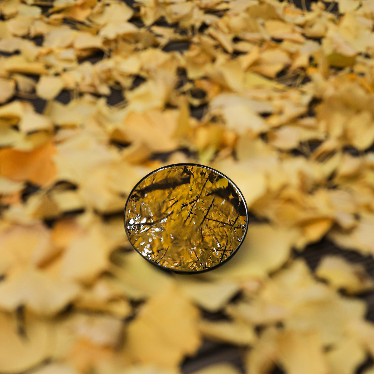 MHW-3BOMBER M5503 black mirror reflecting leaves outdoors